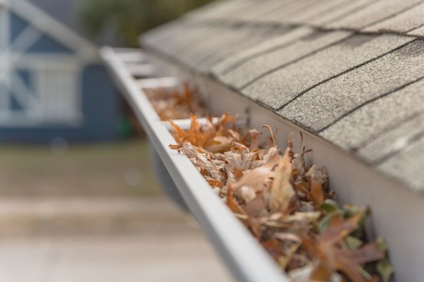 Leaf Barrier Installation in Monroe